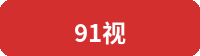 91视